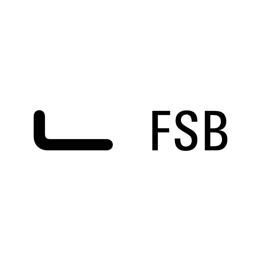 Logo: FSB